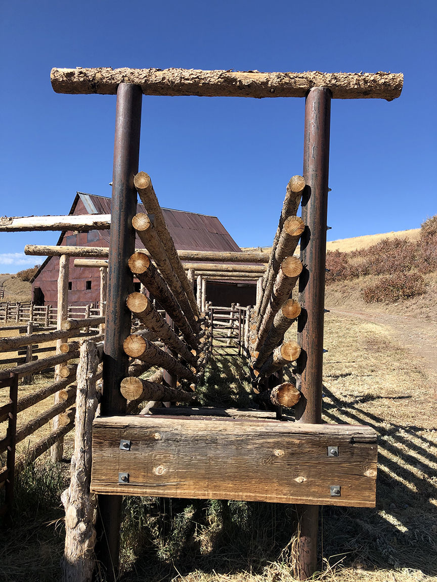 True Grit Ranch 4